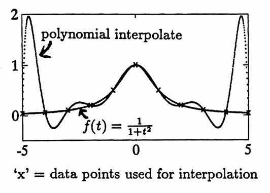 polynomial interpolates can oscillate wildly