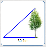 the angle subtended by a tree 30 feet from its base